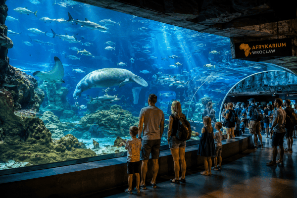 Zwiedzający oglądający Afrykarium w Zoo Wrocław